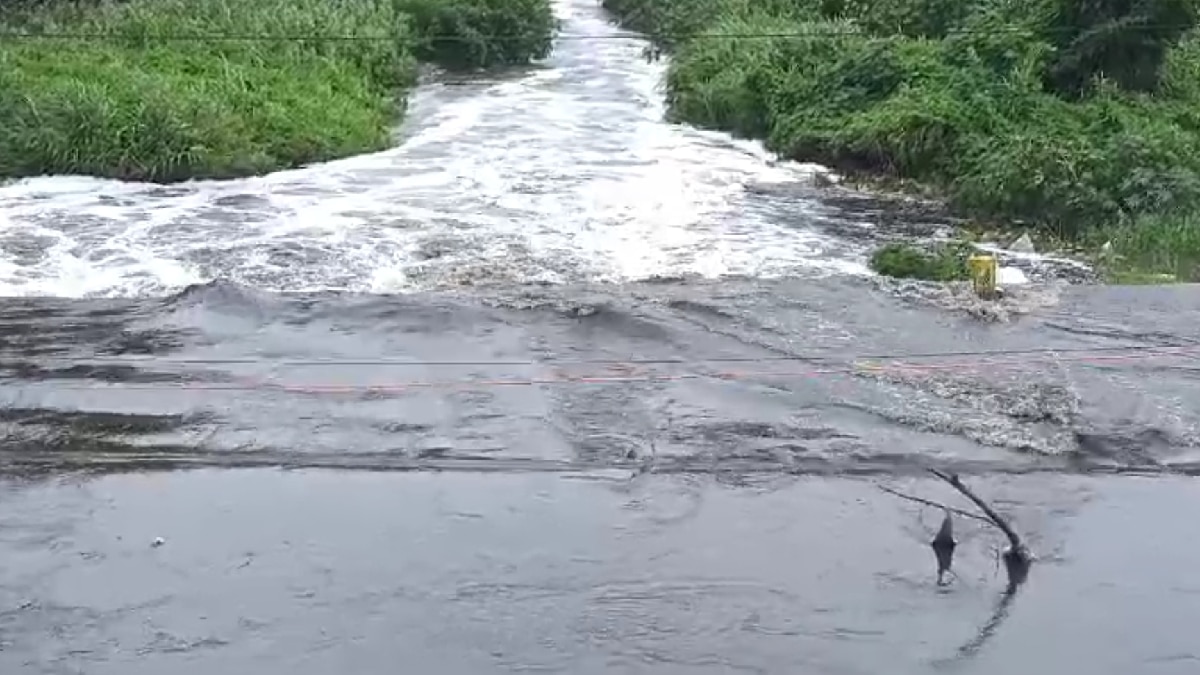 Coimbatore Heavy Rain: கோவையில் தீவிரமடையும் தென்மேற்குப் பருவமழை : தொடர் மழையால் சீறிப்பாயும் புதுவெள்ளம்