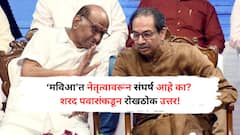 उद्धव ठाकरे 'मविआ'त हट्ट करतात असं वाटत नाही का? शरद पवारांकडून फक्त तीन वाक्यात उत्तर!