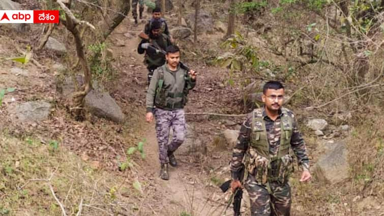 12 Maoists killed in major encounter at Gadchiroli Maharashtra Gadchiroli Encounter: ఛత్తీస్‌గఢ్, గడ్చిరోలి సరిహద్దులో భారీ ఎన్‌కౌంటర్‌, కాల్పుల్లో 12 మంది మావోయిస్టుల హతం