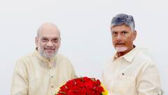 Budget 2024: Andhra CM Chandrababu Naidu Meets Amit Shah In Delhi, Seeks Increased Funding