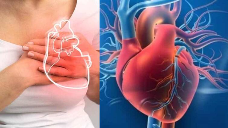 chronic cough could be a sign of heart failure health tips Congestive Heart Failure: தொடர் இருமலால் இதயம் செயலிழக்கும் அபாயம்..! எச்சரிக்கும் மருத்துவர்கள், செய்ய வேண்டியது என்ன?