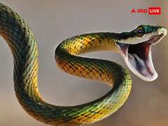 Swapna Shastra: सपने में काले सांप को भागते हुए देखना शुभ या अशुभ? जानें