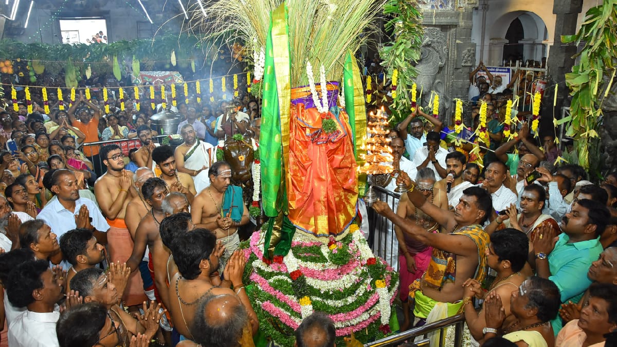 சைவமும் வைணவமும் பிளவுபட்டுவிடக் கூடாது: வெகு விமரிசையாக நடைபெற்ற சங்கரன்கோவில் ஆடிதபசு விழா