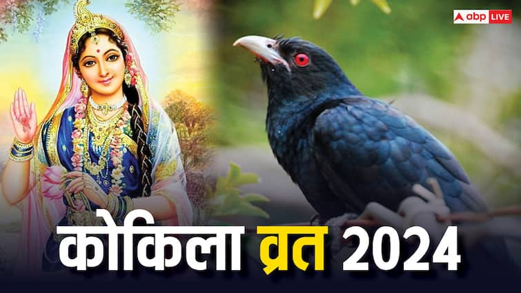 Kokila vrat 2024 date Puja muhurat significance why this fast is observed in ashadha Kokila vrat 2024: कोकिला व्रत क्यों किया जाता है ? सुहागिनों के लिए क्यों है महत्वपूर्ण, जानें इसकी डेट, मुहूर्त