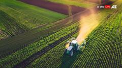 पानी की कम खपत से लेकर खेत की उर्वरता बढ़ाने तक दलहन की पैदावार है बेहद खास, जान लें