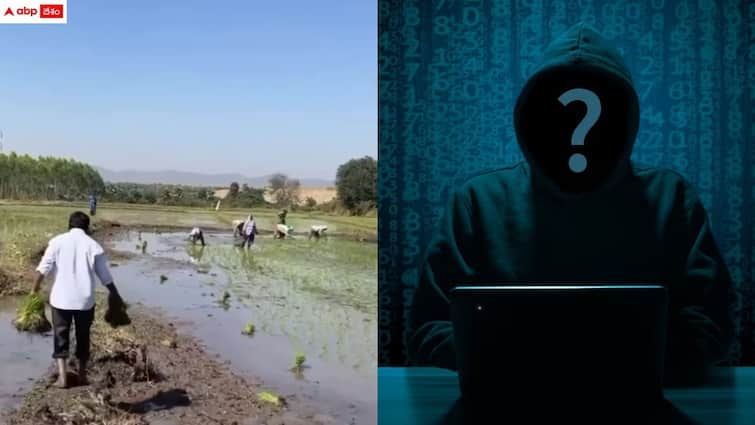 cyber criminals targetted telangana farmers with apk links through whatsapp Rythu Runa Mafi: తెలంగాణ రైతులకు బిగ్ అలర్ట్ - ఆ లింక్స్ ఓపెన్ చేశారో ఇక అంతే!