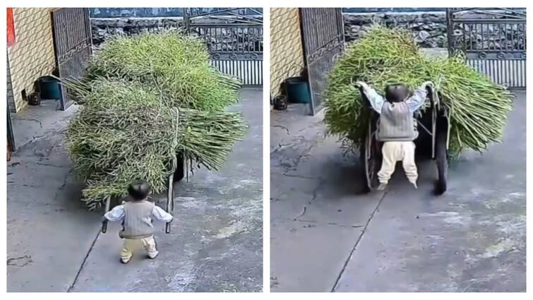 watch video small kid play with hand vehicle gone wrong know here Watch Video: சேட்டை! அந்தரத்தில் தொங்கி அட்ராசிட்டி செய்த சுட்டிக்குழந்தை - நீங்களே பாருங்க