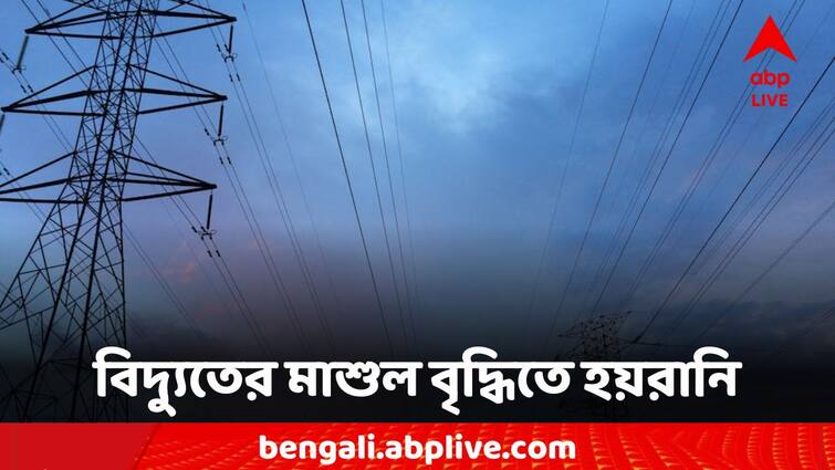 West Bengal News Electricity tariff increase BJP has planned a protest march West Bengal News: বাড়ছে লোডশেডিং যন্ত্রণা, অস্বাভাবিক হারে বিদ্য়ুতের মাশুল বৃদ্ধির অভিযোগ রাজ্যে