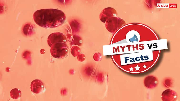 health tips blood cancer myths and facts causes symptoms treatment survival rate Myths Vs Facts: ब्लड कैंसर में बचना मुश्किल? बिना किसी लक्षण के दस्तक देती है ये बीमारी? जानें सच