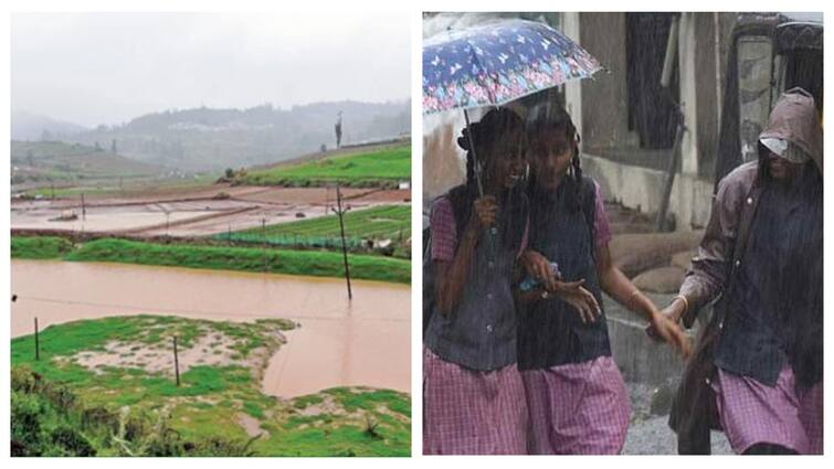 TN Rains Nilgiri 4 Taluk valparai schools leave know full details School Leave: கொட்டித் தீர்க்கும் மழை! நீலகிரி, வால்பாறையில் பள்ளிகளுக்கு விடுமுறை