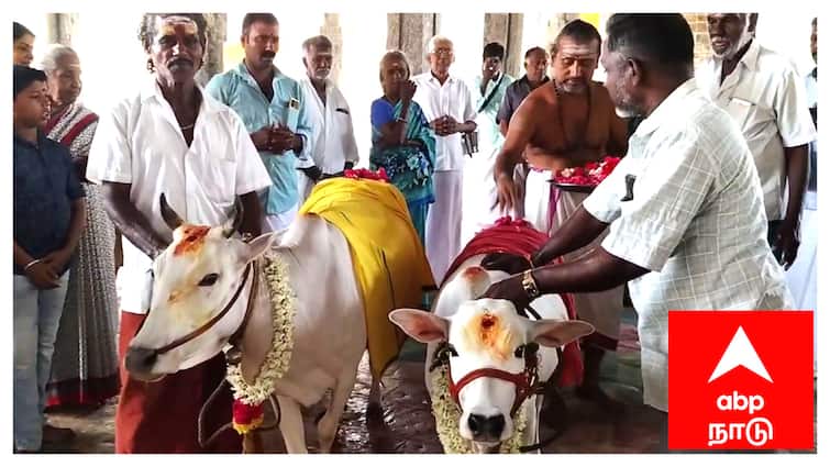 Abp Koil ula Aadi month birth special worship at Sirkali sattainathar Temple - TNN ABP கோயில் உலா: சீர்காழி சட்டைநாதர் கோயிலில் ஆடி மாத பிறப்பு சிறப்பு வழிபாடு