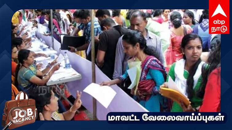 Villupuram news Job Fair private sector employment camp know full details - TNN Job Fair: விழுப்புரத்தில் தனியார் துறை வேலைவாய்ப்பு முகாம்... முழு விவரம் உள்ளே