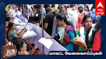 Villupuram news Job Fair private sector employment camp know full details - TNN Job Fair: விழுப்புரத்தில் தனியார் துறை வேலைவாய்ப்பு முகாம்... முழு விவரம் உள்ளே