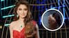 Urvashi Rautela : आधी कपडे बदलतानाचा VIDEO व्हायरल, आता ऑडिओ क्लिप; उर्वशी रौतेलाने मॅनजरला झापलं