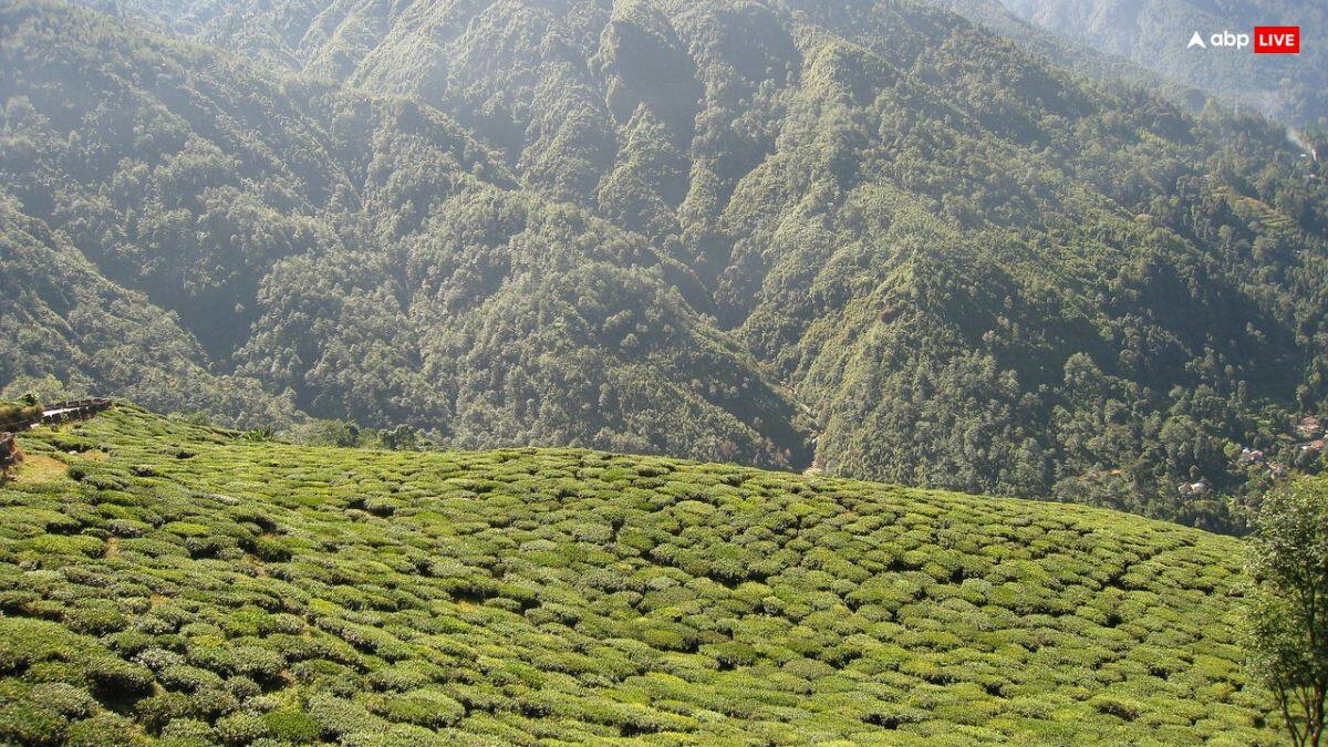 Darjeeling Trip: दार्जिलिंग जाने का है प्लान, तो इन जगहों का जरूर करें दीदार