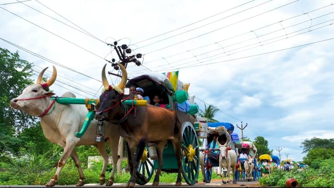 ஆடித் திருவிழா பார்க்க அழகர்கோயிலுக்கு பாரம்பரிய முறைப்படி மாட்டுவண்டிப் பயணம்... அடடே... அழகு !
