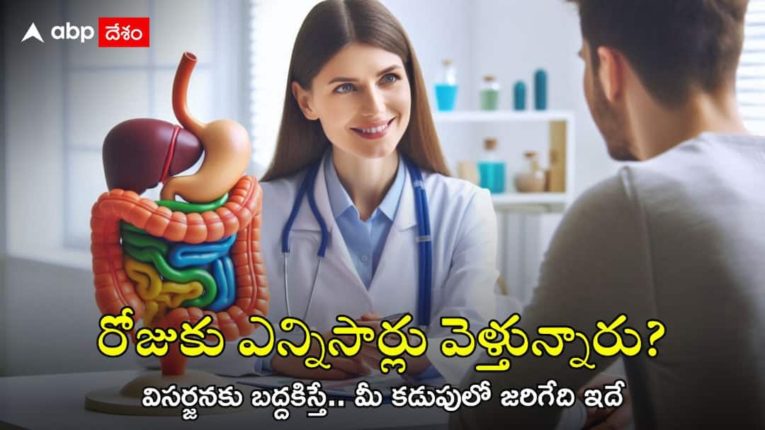 Bowel problems: మీరు రోజులో ఎన్నిసార్లు మలవిసర్జన చేస్తున్నారు? ‘గోల్డీలాక్స్ జోన్’ అంటే? మీ మలం ఇలా ఉంటే ముప్పే! What is Goldilocks zone your poo habits will reveal about health Bowel problems: మీరు రోజులో ఎన్నిసార్లు మలవిసర్జన చేస్తున్నారు? ‘గోల్డీలాక్స్ జోన్’ అంటే? మీ మలం ఇలా ఉంటే ముప్పే!