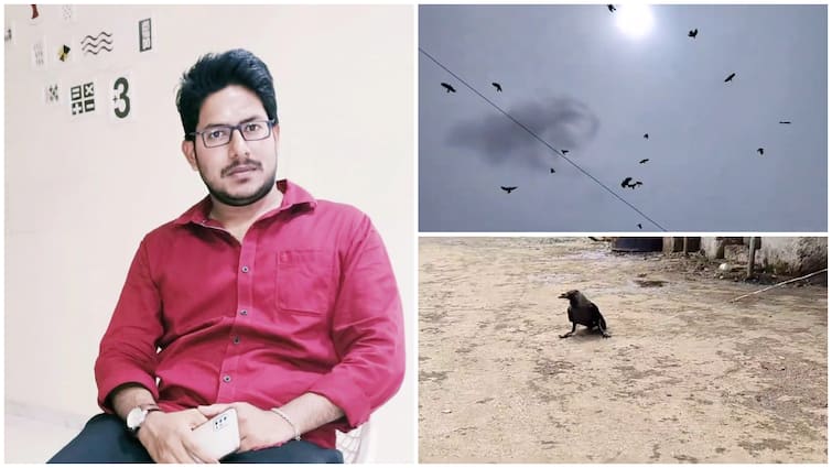 Ambedkar Konaseema district and Vinukonda Incident remind the difference between crows and humans Andhra Pradesh: ఒక కాకిని కట్టేస్తే వందల కాకుల ధర్నా- నడిరోడ్డుపై వ్యక్తిని నరుకుతుంటే వీడియో తీసిన జనం- ఎవరి నుంచి ఏం నేర్చుకోవాలి?