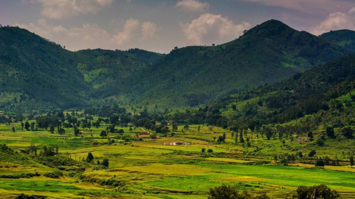 Monsoon Travel: Places In India That Transform Into Wonderland During The Rainy Season