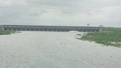 Rajkot Rain: ભારે વરસાદને લઈ ધોરાજીનો ભાદર-2 ડેમ ઓવરફ્લો