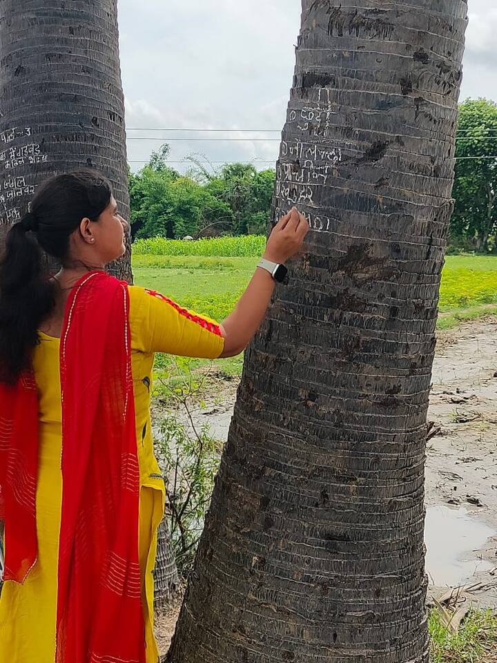 मुख्यमंत्री नीतीश कुमार के गृह जिले में शिक्षा व्यवस्था का हाल यह है कि आप देखकर दंग रह जाएंगे. मामला इस्लामपुर प्रखंड का है. दरअसल मध्य विद्यालय केवाली में बिजली की काफी समस्या रहती है.
