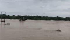 Devbhumi Dwarka Rain: દ્વારકાના કલ્યાણપુરમાં 10 ઈંચ વરસાદ ખાબક્યો, ખેતરો બેટમાં ફેરવાયા 