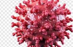 કોરોનાથી સ્વસ્થ થયેલા દર્દીઓ માટે ખરાબ સમાચાર, આ કારણે ઇમ્યૂનિટી થઇ રહી છે નબળી