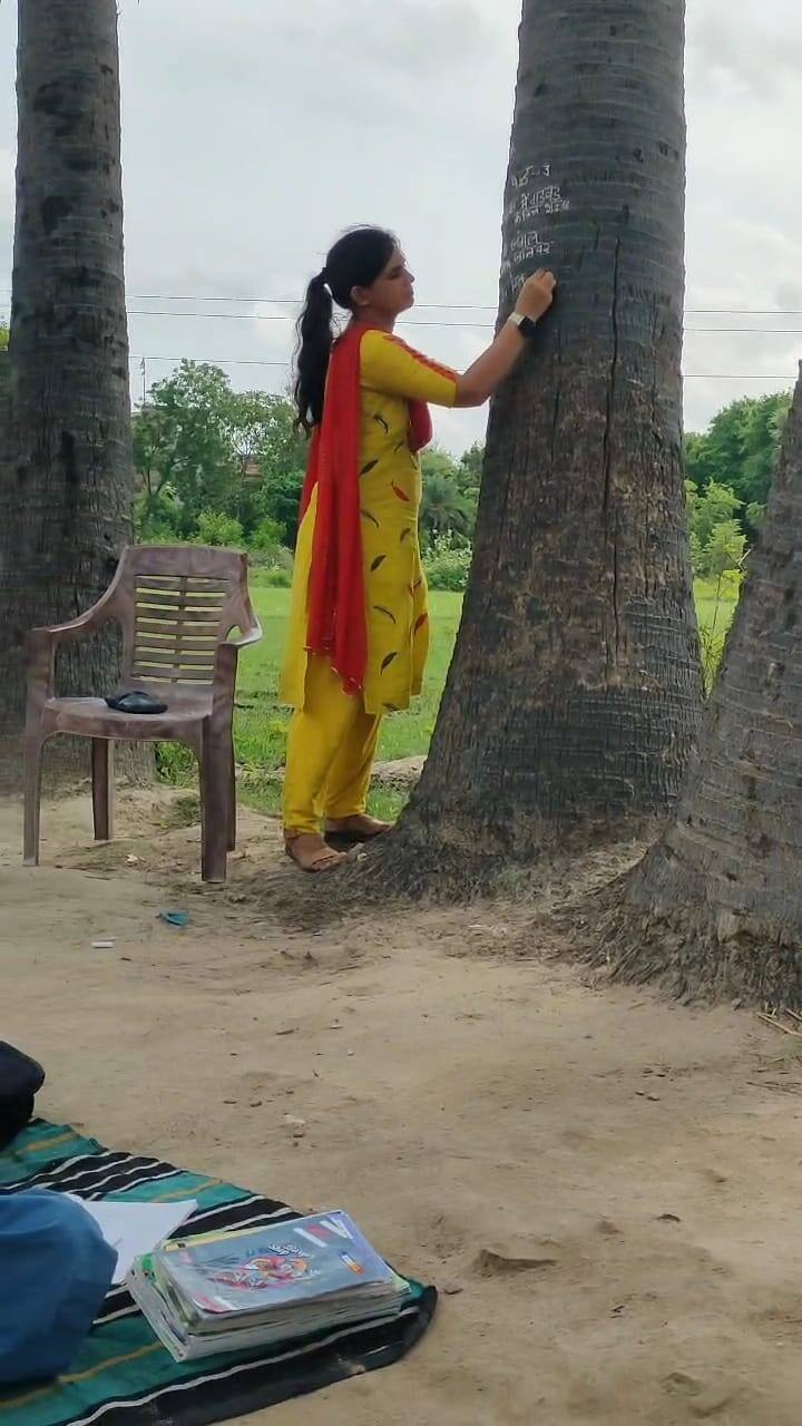 एक पेड़ पर टास्क पूरा नहीं होता है तो दूसरे पेड़ पर लिखती हैं. हालांकि कुछ लोग व्यवस्था पर भी सवाल उठा रहे हैं.