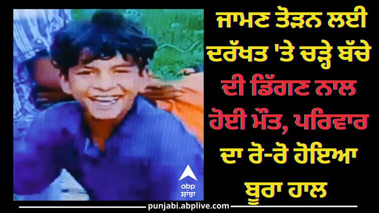 12 years old boy fell from tree and died Ludhiana News: ਜਾਮਣ ਤੋੜਨ ਲਈ ਦਰੱਖਤ 'ਤੇ ਚੜ੍ਹੇ ਬੱਚੇ ਦੀ ਡਿੱਗਣ ਨਾਲ ਹੋਈ ਮੌਤ, ਪਰਿਵਾਰ ਦਾ ਰੋ-ਰੋ ਹੋਇਆ ਬੂਰਾ ਹਾਲ