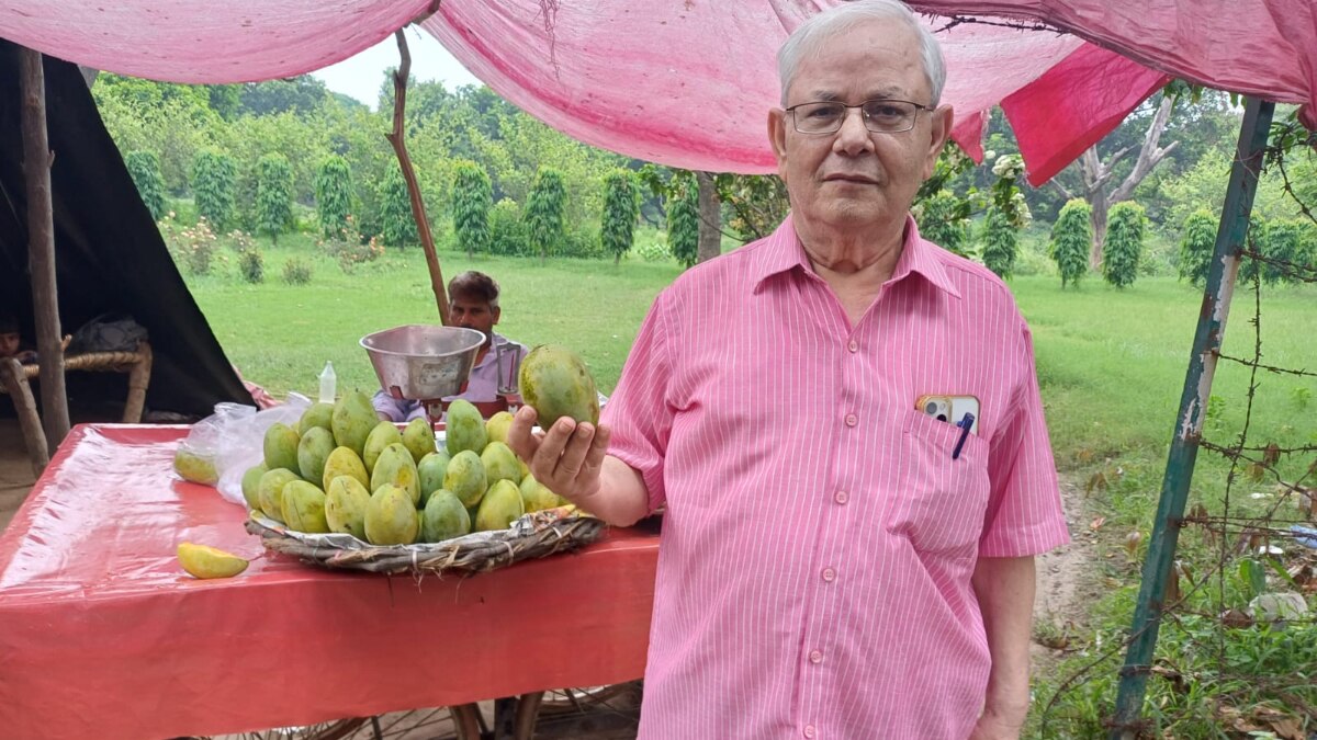 भारत के ‘अनवर रटौल’ आम को पाकिस्तान ने बताया अपना, पूर्व PM इंदिरा गांधी को भेजा था तोहफा