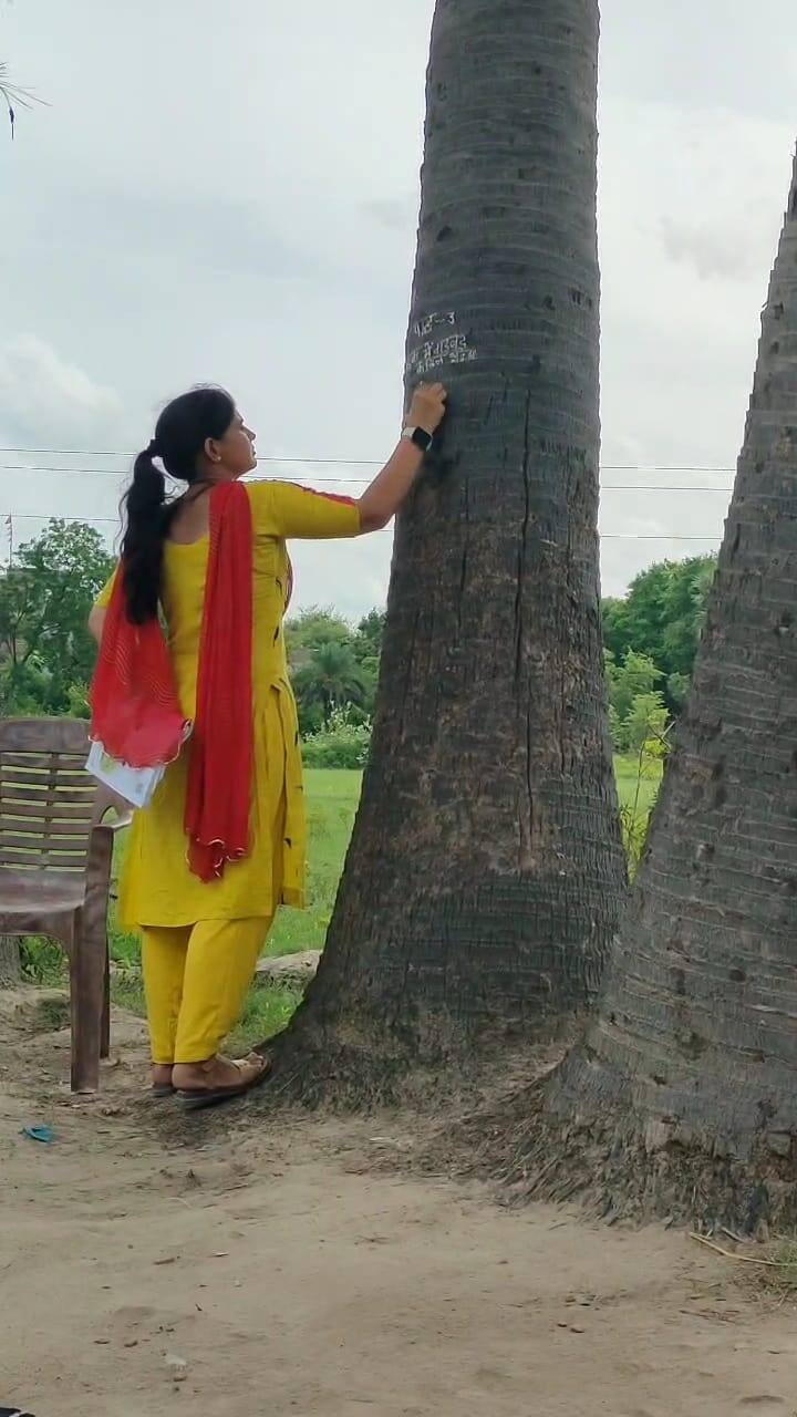 एचएम विजय कुमार का कहना है कि ब्लैकबोर्ड के लिए उन्हें राशि नहीं मिली है. शिक्षिका ललिता ने इसका हल निकाल लिया है. वह ताड़ के पेड़ पर ही बच्चों को पढ़ाती हैं और होमवर्क देती हैं. लोग शिक्षिका के इस जज्बे की तारीफ भी कर रहे हैं.