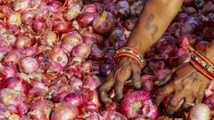 Onion Oil For Hair: চুলের বৃদ্ধির জন্য পেঁয়াজের রসের অত্যাধিক ব্যবহার, চরম ক্ষতি হতে পারে