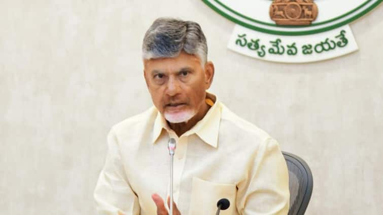 Andhra Pradesh Heavy Rainfall CM Chandrababu Naidu Holds Emergency Meeting On Preventing Loss Of Life Heavy Rainfall In Andhra Pradesh: CM Chandrababu Naidu Holds Emergency Meeting On Preventing Loss Of Life