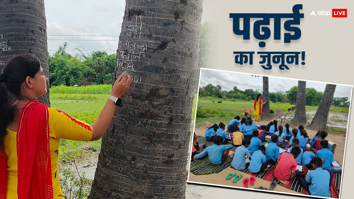 देखिए CM साहब! नालंदा में बिजली कटी तो खुले मैदान में पढ़ाई शुरू, शिक्षिका ने पेड़ को बना दिया ब्लैकबोर्ड