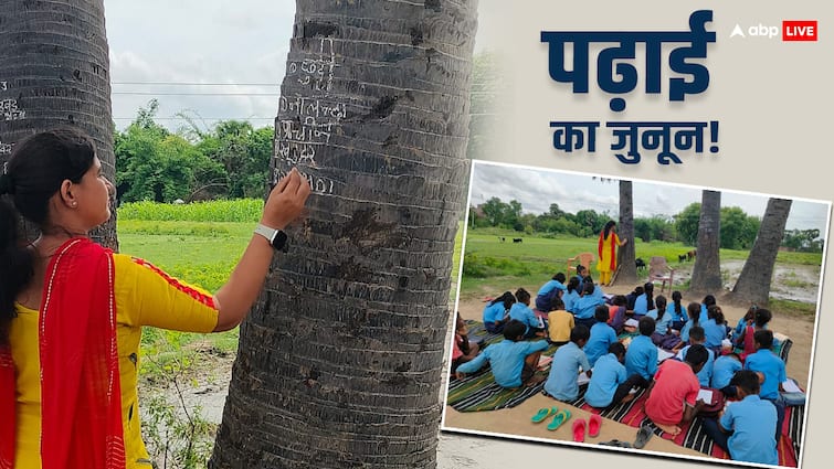 देखिए CM साहब! नालंदा में बिजली कटी तो खुले मैदान में पढ़ाई शुरू, शिक्षिका ने पेड़ को बना दिया ब्लैकबोर्ड