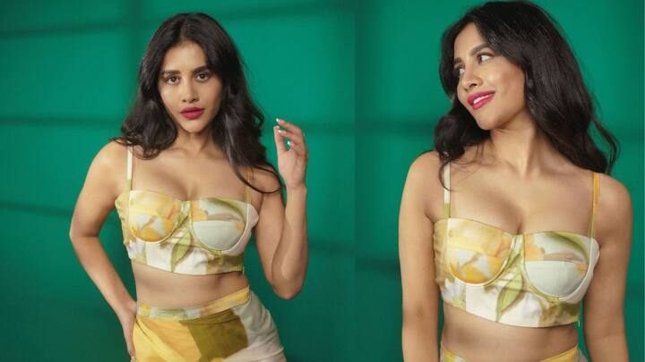 Nabha Natesh: కన్నడ అందాల భామ నభా నటేష్ తన లేటెస్ట్ ఫోటోలతో సోషల్ మీడియాను షేక్ చేస్తోంది. 'డార్లింగ్, మీరు సిద్ధమేనా?' అంటూ యువ హృదయాలను కొల్లగొడుతోంది.