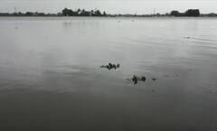 Gujarat Rain: તસવીરોમાં જુઓ 14 ઈંચ વરસાદથી પોરંબદરમાં થયેલા જળબંબાકારનો નજારો