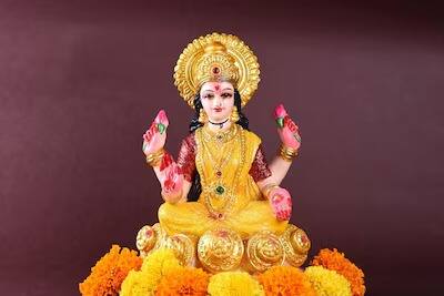 वास्तूशास्त्रानुसार, जर तुम्हाला धन-संपत्तीशी संबंधित काही अडचणी असतील तर तुम्ही त्यापासून सुटका व्हावी यासाठी देवी लक्ष्मीचा फोटो लावू शकता.