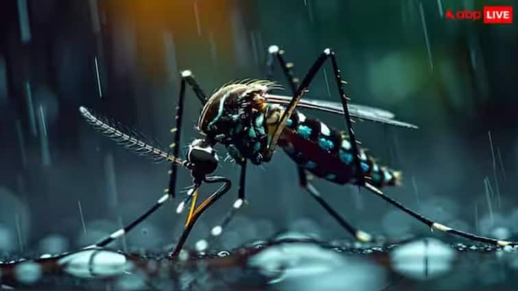 Indore 12 People infected with dengue and one died last 24 Hours MP Dengue Case ANN इंदौर में डेंगू का कहर! 24 घंटे में 12 लोग संक्रमित, एक बच्चे की मौत, जानिए कैसे करें बचाव?