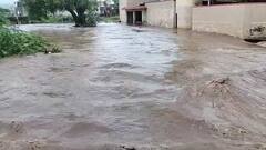 Gujarat Rain: રાજ્યમાં આગામી ત્રણ કલાક આ જિલ્લાઓમાં ભારે વરસાદ, હવામાન વિભાગની આગાહી