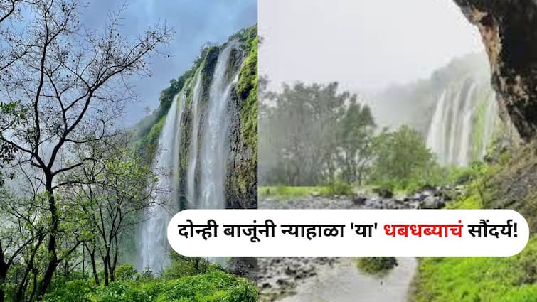 Monsoon Travel lifestyle marathi news Kumbhawade Baba waterfall Look at the beauty of this waterfall from both sides abpp Travel : शंकराच्या जटेतून जशी वाहते गंगा..दोन्ही बाजूंनी न्याहाळा 'या' धबधब्याचं सौंदर्य! व्यस्त कामातून घेऊन ब्रेक, एकदा भेट द्याच..