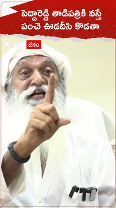 పెద్దారెడ్డి తాడిపత్రికి వస్తే పంచె ఊడదీసి కొడతా ..