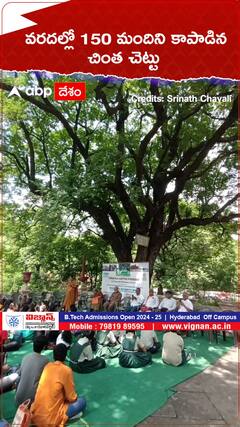 వరదల్లో 150 మందిని కాపాడిన చింత చెట్టు