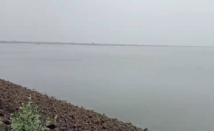 ધોરાજી ગ્રામ્ય પંથકમાં સારા વરસાદને લઈ ભાદર 2 ડેમમાં પુષ્કળ પાણીની આવક થઈ છે.