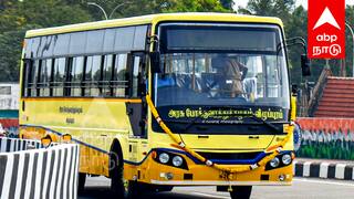 Special Bus: திருவண்ணாமலை பவுர்ணமி கிரிவலம்; 1000 சிறப்பு பேருந்துகள் இயக்கம்