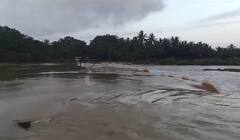 Junagadh Rain: ઘેડ પંથકમાં ધોધમાર વરસાદને પગલે ફુલરામા ગામ બેટમાં ફેરવાયું