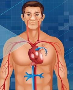 Health News: ਕੋਲੈਸਟ੍ਰਾਲ ਦੀ ਸਮੱਸਿਆ ਤੋਂ ਹੋ ਪਰੇਸ਼ਾਨ...ਸਹੀ ਕਰਨ ਲਈ ਵਰਤੋਂ ਇਹ ਵਾਲੇ ਕੁਦਰਤੀ ਤਰੀਕੇ