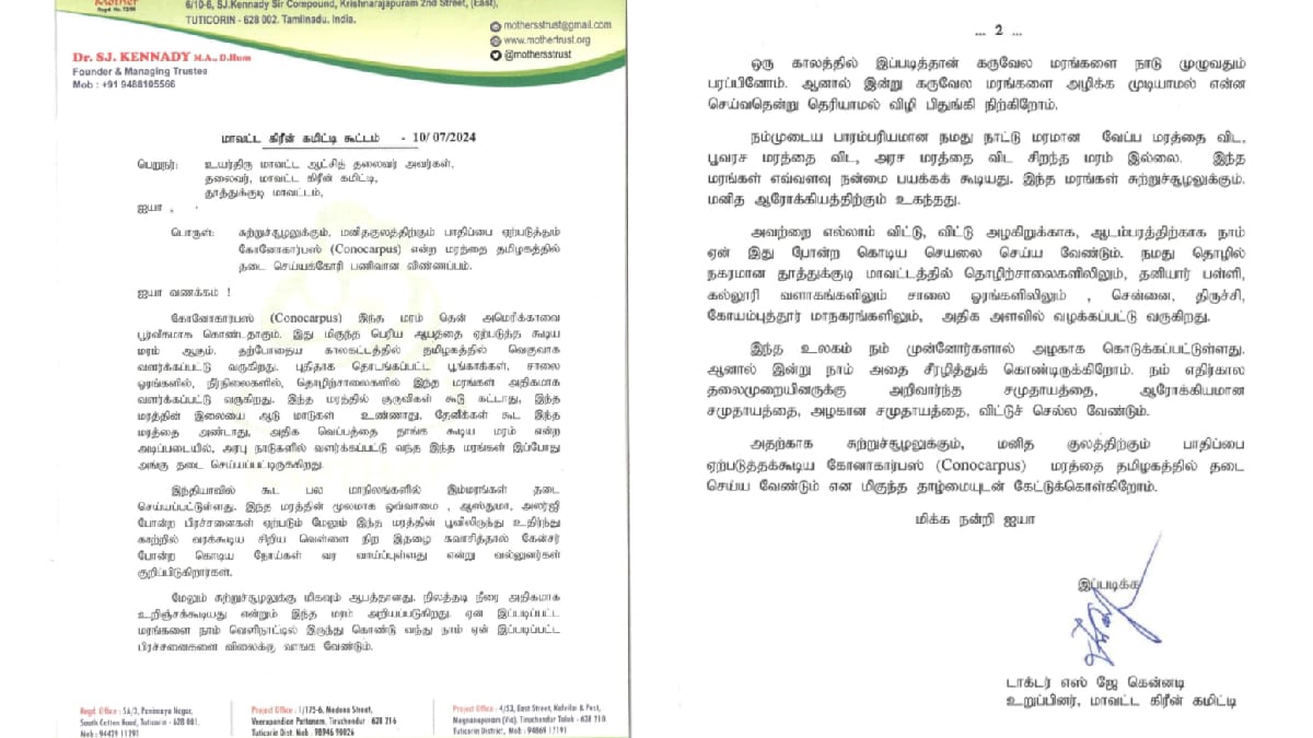 அழகான ஆபத்து... இந்த மரத்தின்  கீழ் நிழலுக்கு ஒதுங்கினால் கூட ஆபத்து -  ‘கோனோகார்பஸ்’ மரங்களை தடை செய்யுங்கள்