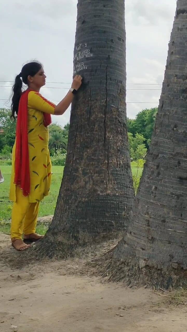 बताया जाता है कि स्कूल में ब्लैकबोर्ड लगा हुआ है लेकिन वह फिक्स है. उसे इधर-उधर नहीं किया जा सकता है इसलिए पेड़ का सहारा लिया जाता है.