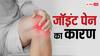 Joint Pain: बारिश में गठिया दर्द ने कर रखा है परेशान, जानें राहत पाने के 7 रामबाण उपाय